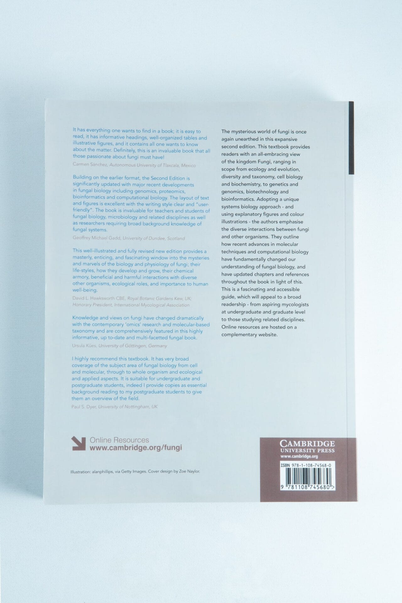 Back cover of "21st Century Guide to Fungi: Book by David Moore ft, others" with descriptive text, barcode, and publisher info—an essential comprehensive field guide and practical mushroom resource for Australia.