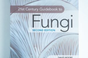 Book cover of 21st Century Guide to Fungi: Book by David Moore ft, others with close-up of mushroom gills—a great addition to any mushroom guide or Australian mushrooms book collection.