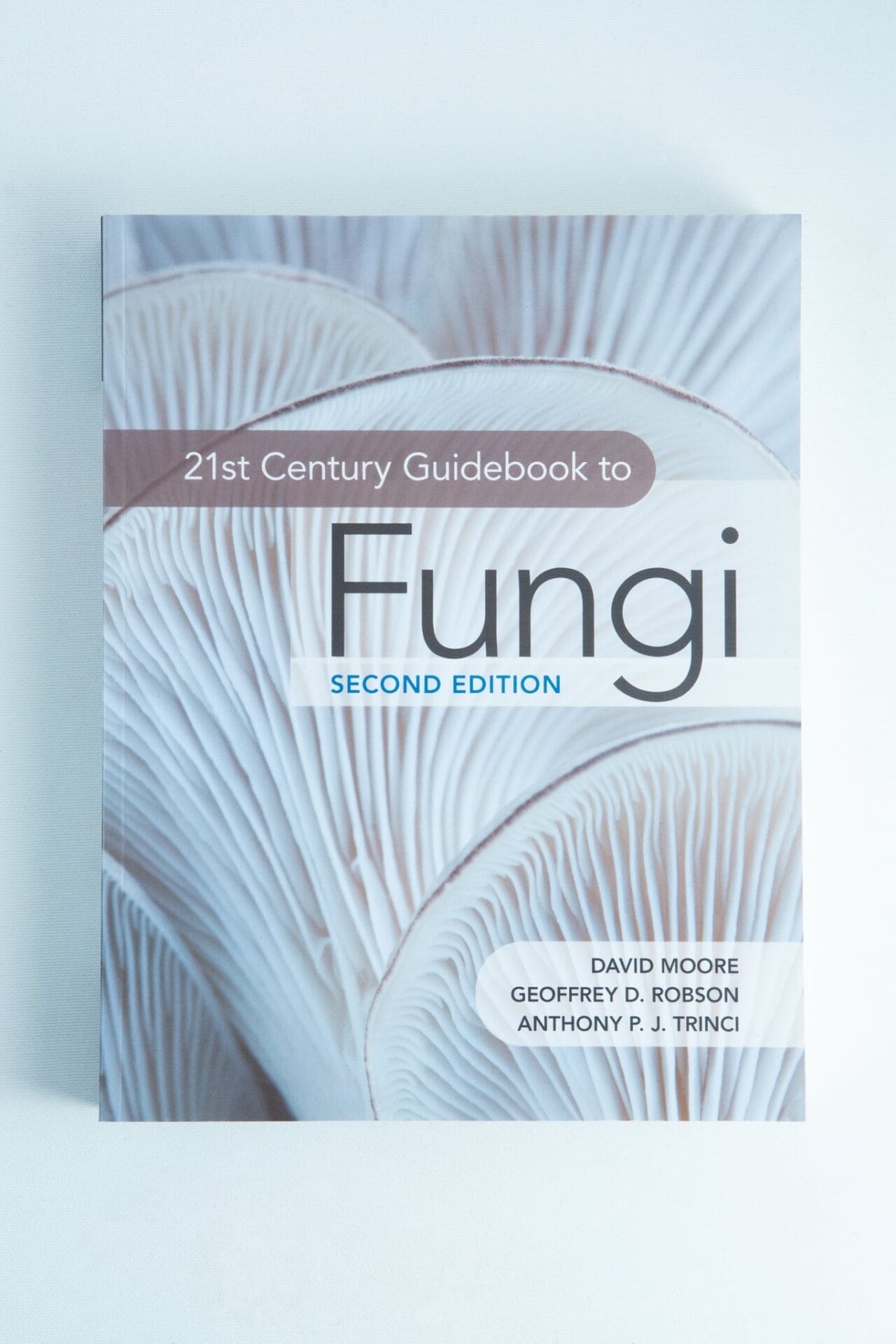 Book cover of 21st Century Guide to Fungi: Book by David Moore ft, others with close-up of mushroom gills—a great addition to any mushroom guide or Australian mushrooms book collection.