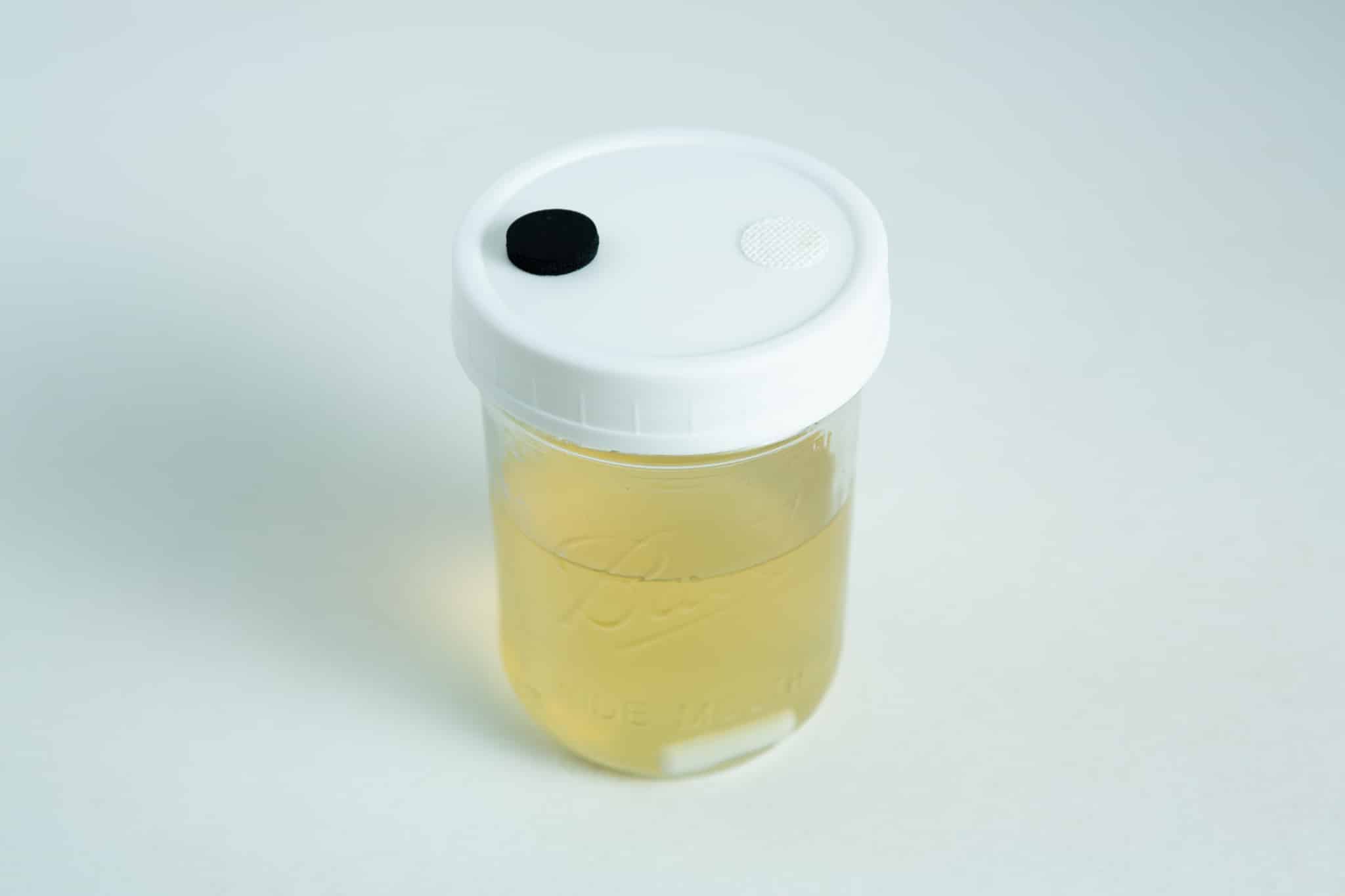 The Uncolonised Liquid Culture Jar with nutrient and magnetic stirrer (collection only) features a clear container of yellow liquid, white lid, and black-and-white circular stickers—perfect for storing uncolonised cultures with stirring capability.