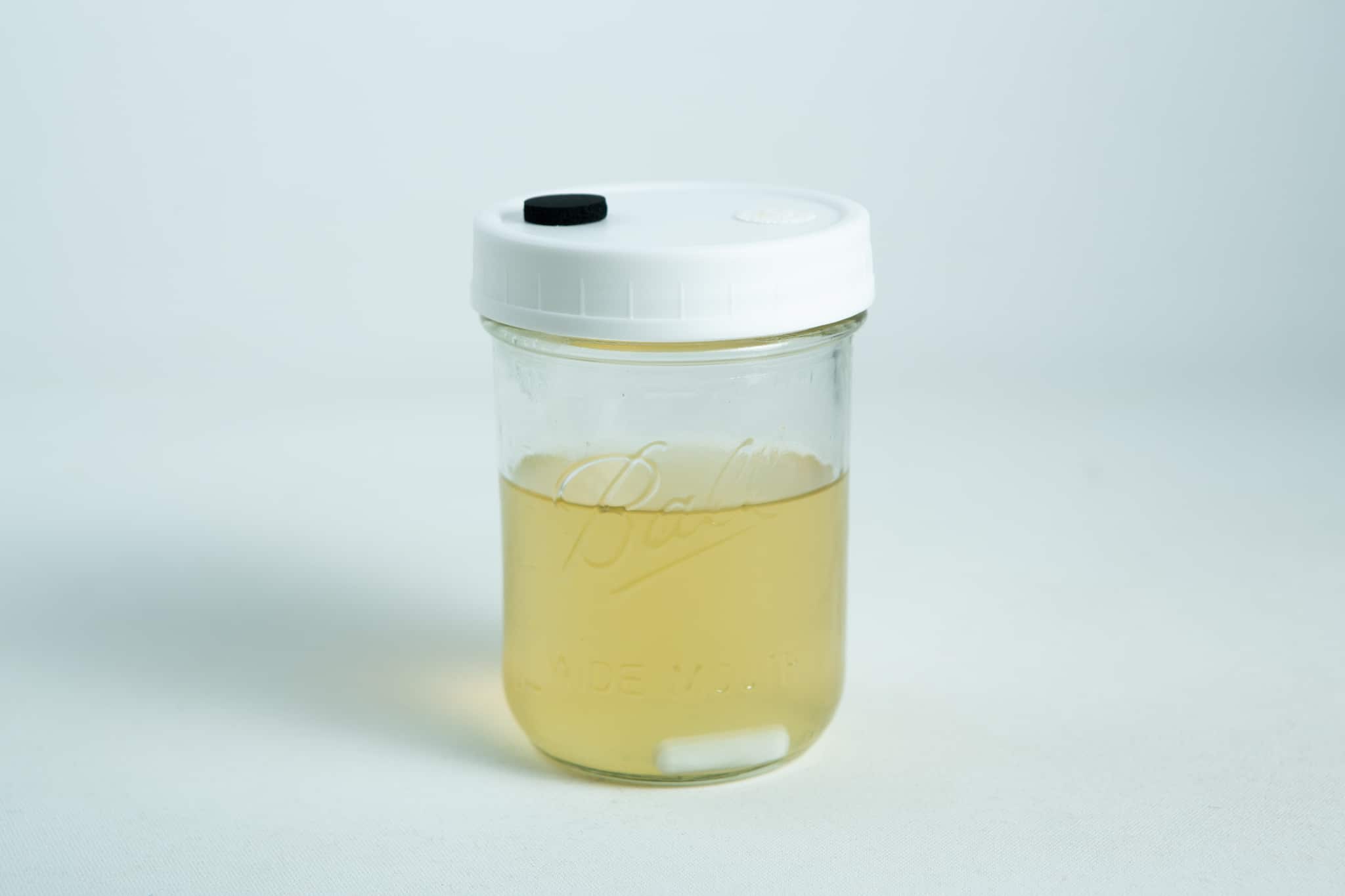 The Uncolonised Liquid Culture Jar with nutrient and magnetic stirrer features a white lid and yellowish liquid, shown on a white background. Available for collection only.