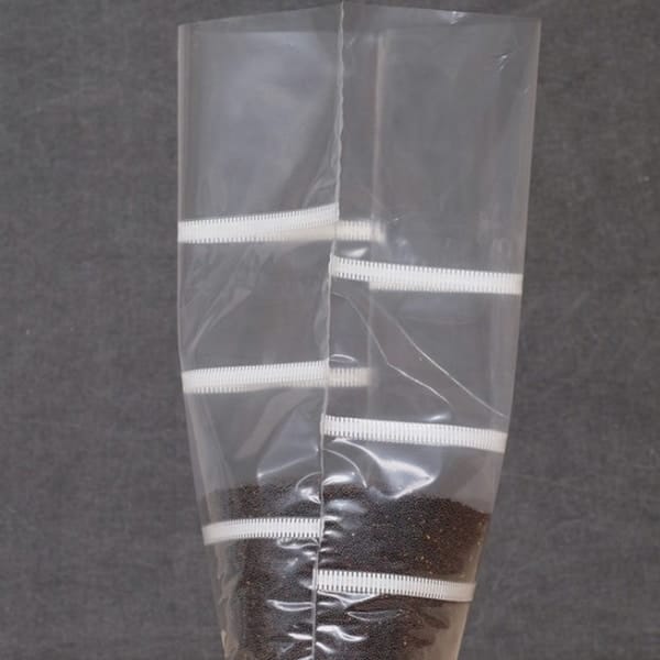 Grow bags Mushroom Sack O2, clear plastic with white cable ties, partially filled with small dark seeds, shown against a grey background.