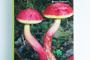 The cover of A Field Guide to Australian Fungi Book by Bruce Fuhrer features two vivid red-capped mushrooms—an essential reference for anyone building a mycology book collection.
