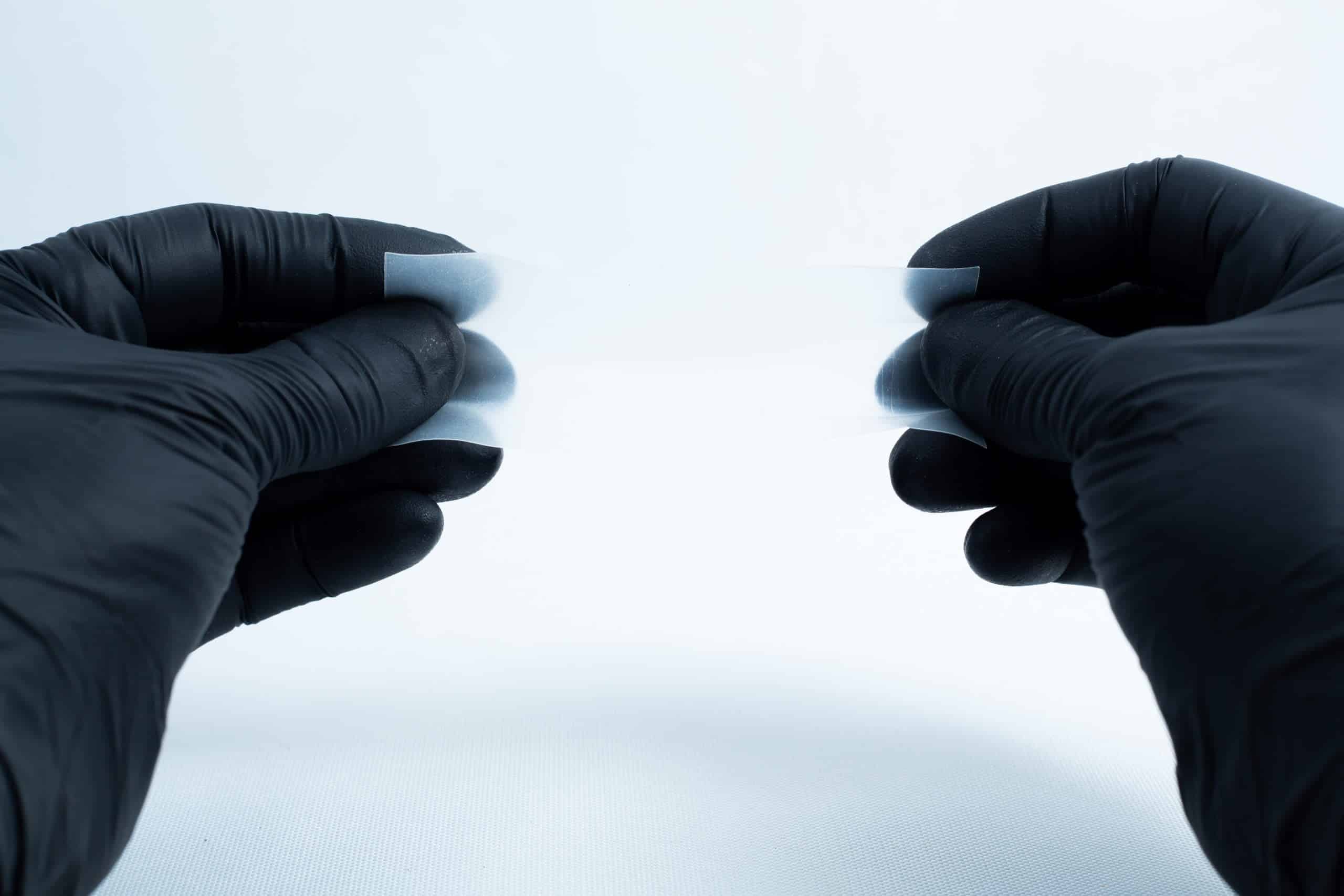 Two gloved hands pull apart a piece of translucent material from the Agar petri dish MEA School Science Fun Project Kit—a classic moment in school science experiments against a white background.