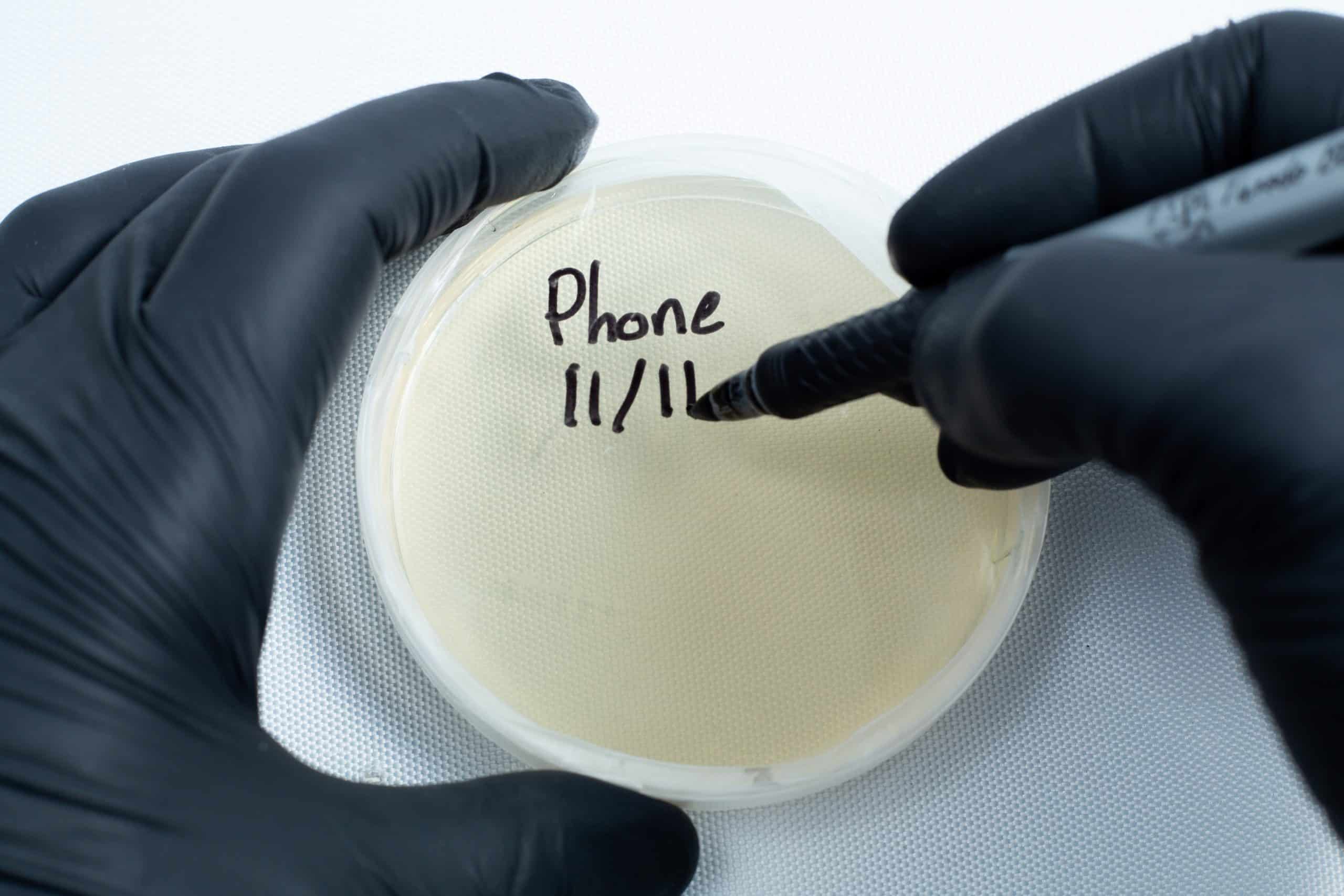 Gloved hands label an agar Petri dish MEA School Science Fun Project Kit with a black marker on a white background, perfect for school science fun projects.