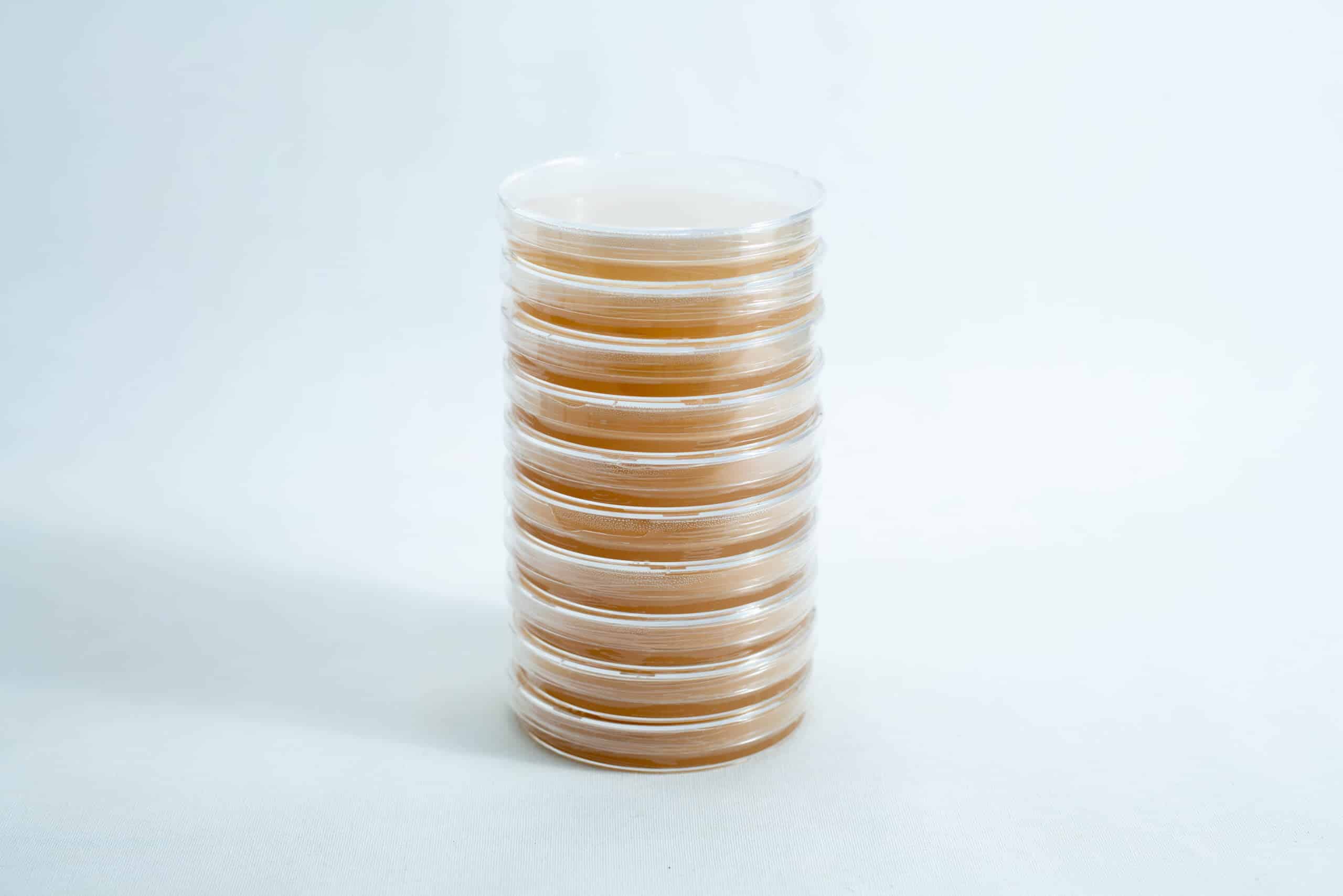 A stack of nine Pre-poured MEAG Agar Plates (Antibacterial) 90mm, each filled with light brown agar, is arranged on a plain white background.