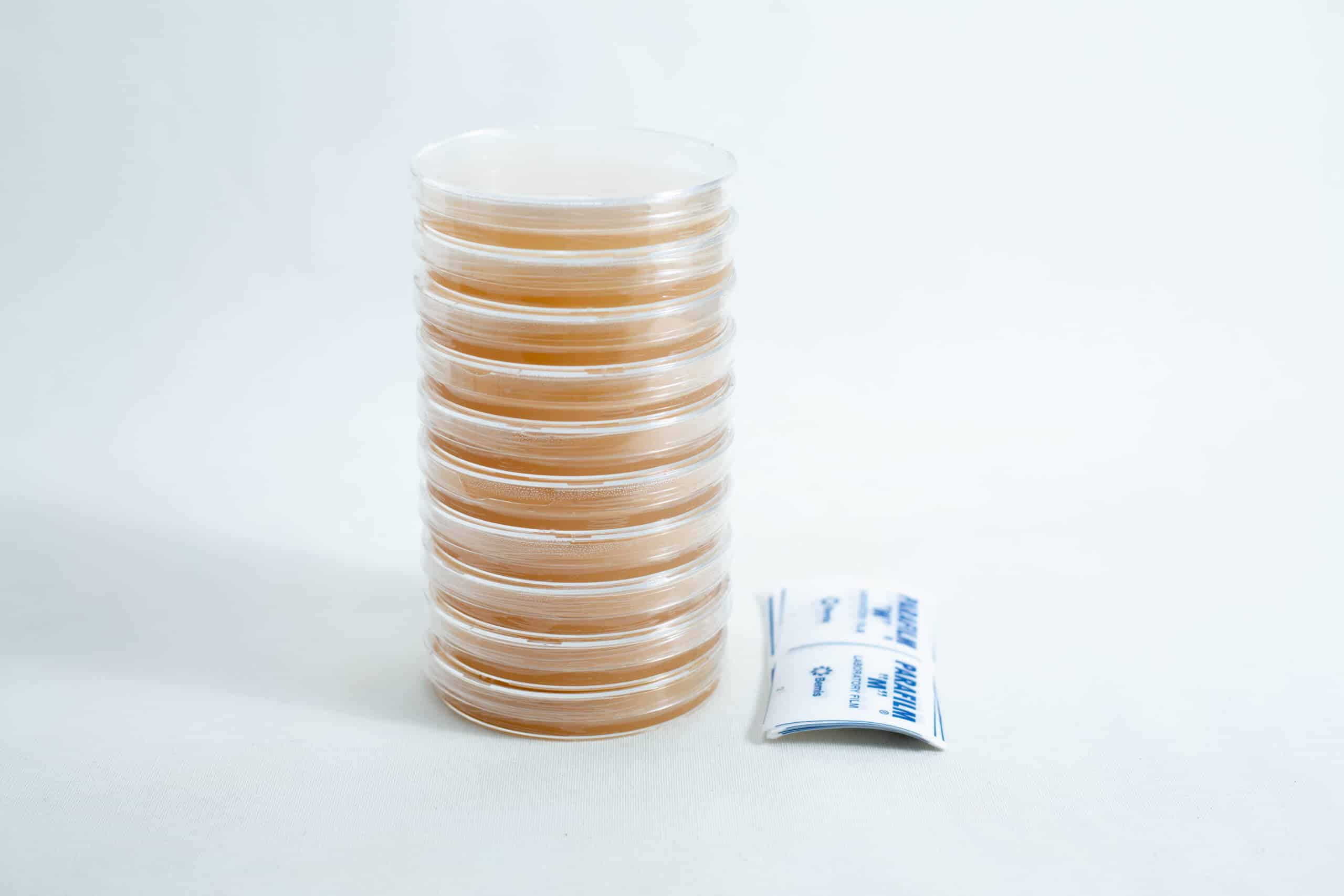 A stack of pre-poured MEAG agar plates (antibacterial) 90mm is placed next to two small packets on a white background.