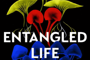 The cover of Entangled Life by Merlin Sheldrake features vibrant fungi illustrations on a black background—an eye-catching pick for those interested in mushroom-themed books.
