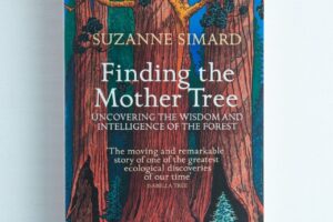 Book cover of Finding the Mother Tree by Suzanne Simard, with tall illustrated trees on a blue background—a perfect pick for fans of forest ecology and nature books.