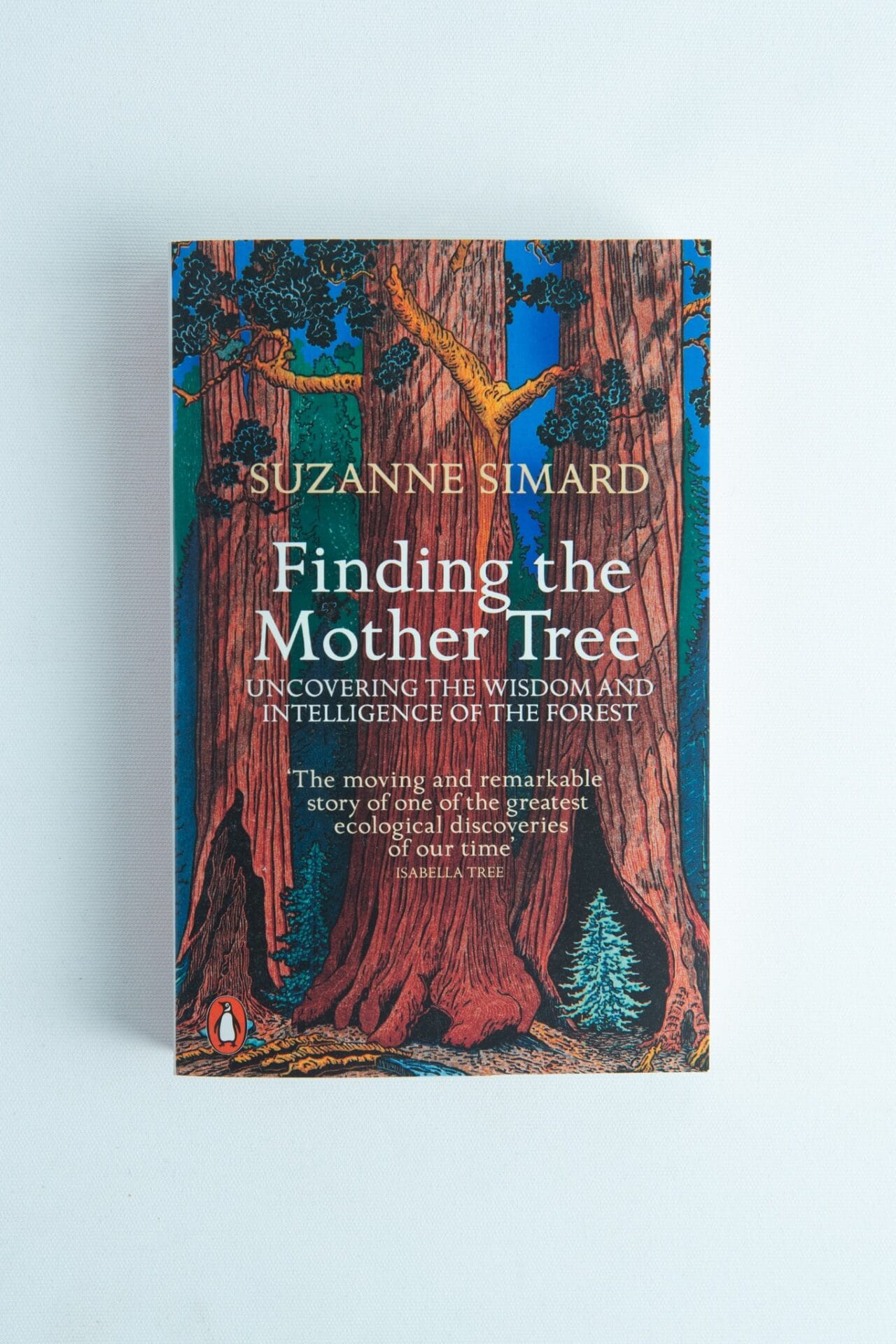 Book cover of Finding the Mother Tree by Suzanne Simard, with tall illustrated trees on a blue background—a perfect pick for fans of forest ecology and nature books.