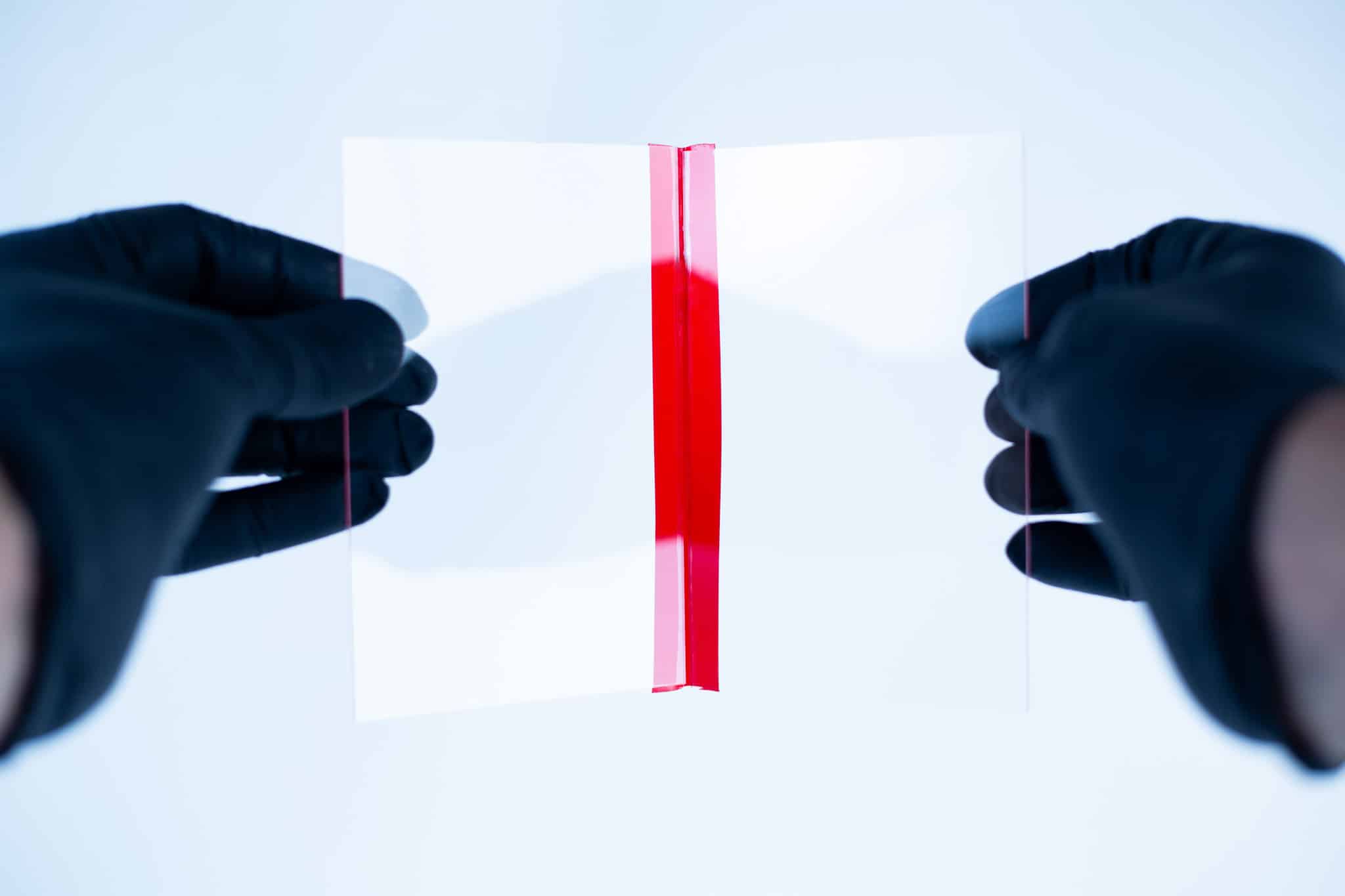Gloved hands hold a Glass Spore Print Slides booklet (12.8cm x 8.5cm x 1mm) with a red vertical stripe in the centre, designed to preserve spore prints, set against a white background.