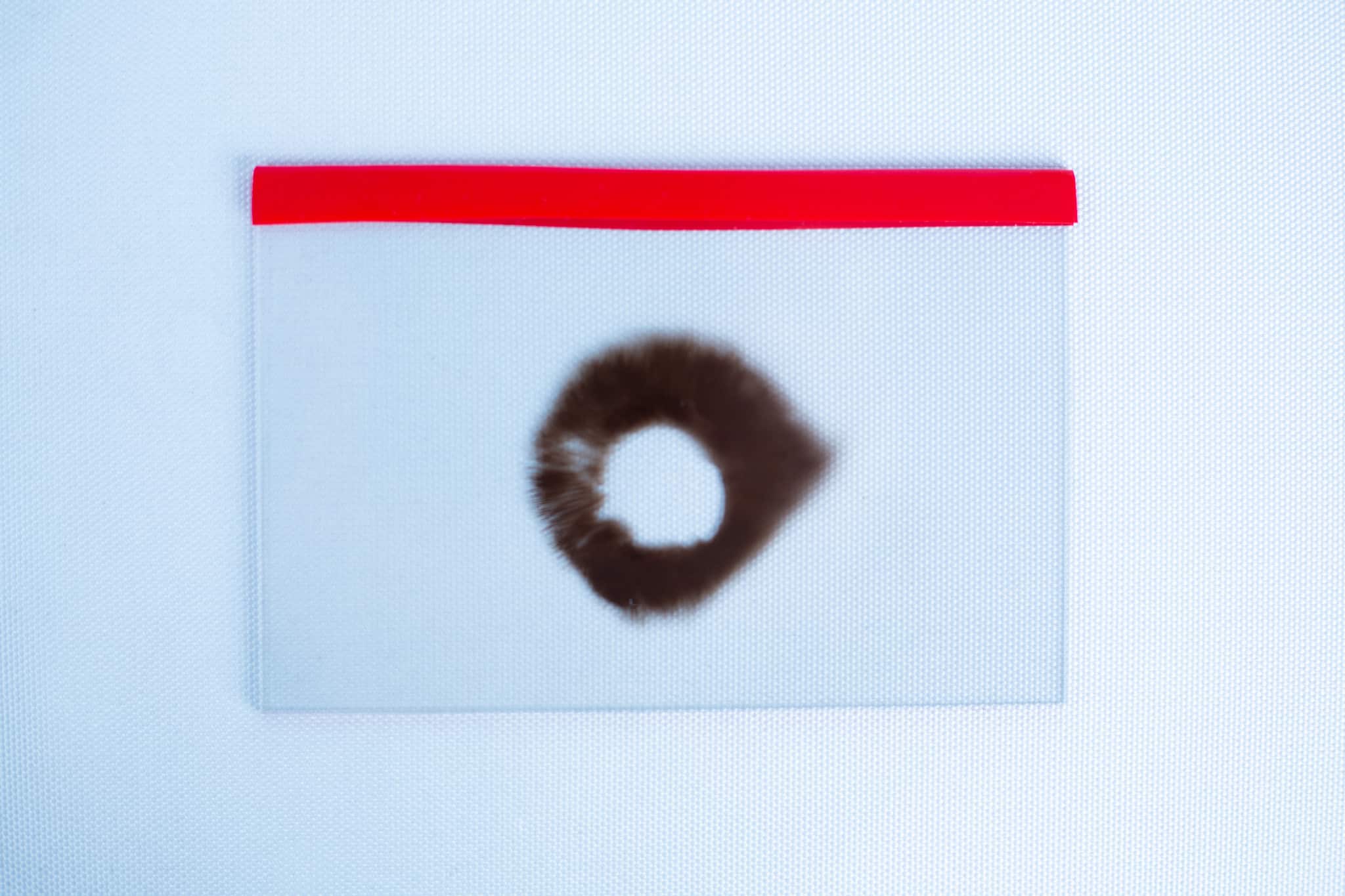 A transparent ziplock bag with a red seal holds a Glass Spore Print Slides booklet (12.8cm x 8.5cm x 1mm)—ideal for safely storing and preserving your spore prints—displayed on a clean white background.