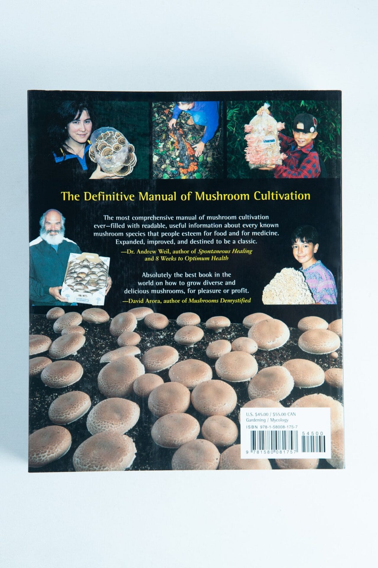 Explore the world of mushroom cultivation in Paul Stamets' "Growing Gourmet and Medicinal Mushrooms," featuring vivid photos of growers and clusters—a must-have guide for anyone seeking top books on mushrooms.