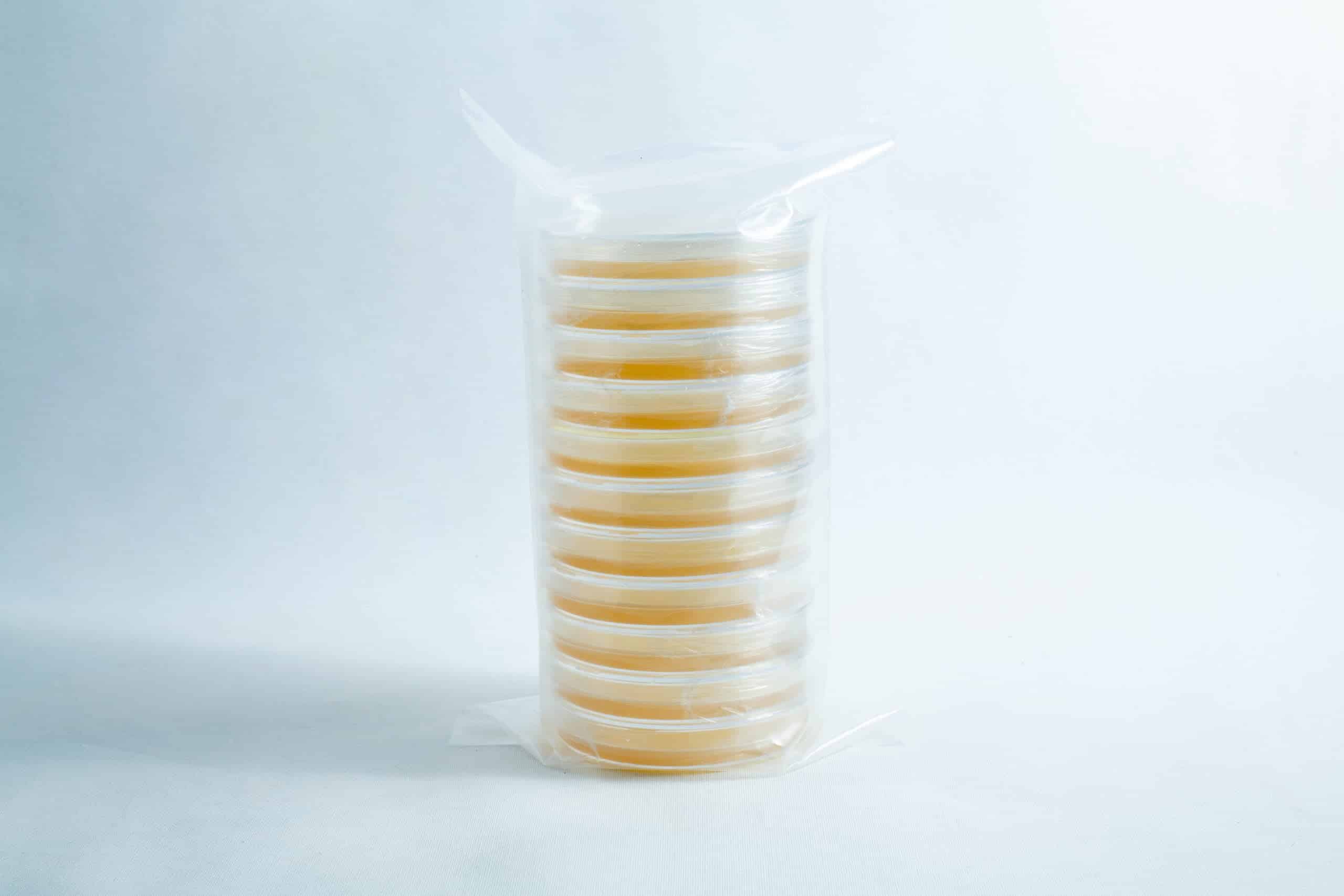 A stack of pre-poured MEA plates petri dish 90 mm, filled with yellow agar and wrapped in clear plastic, displayed on a white background.