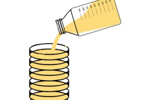 Make Agar Plates