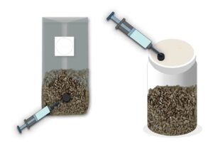 Make Grain Spawn