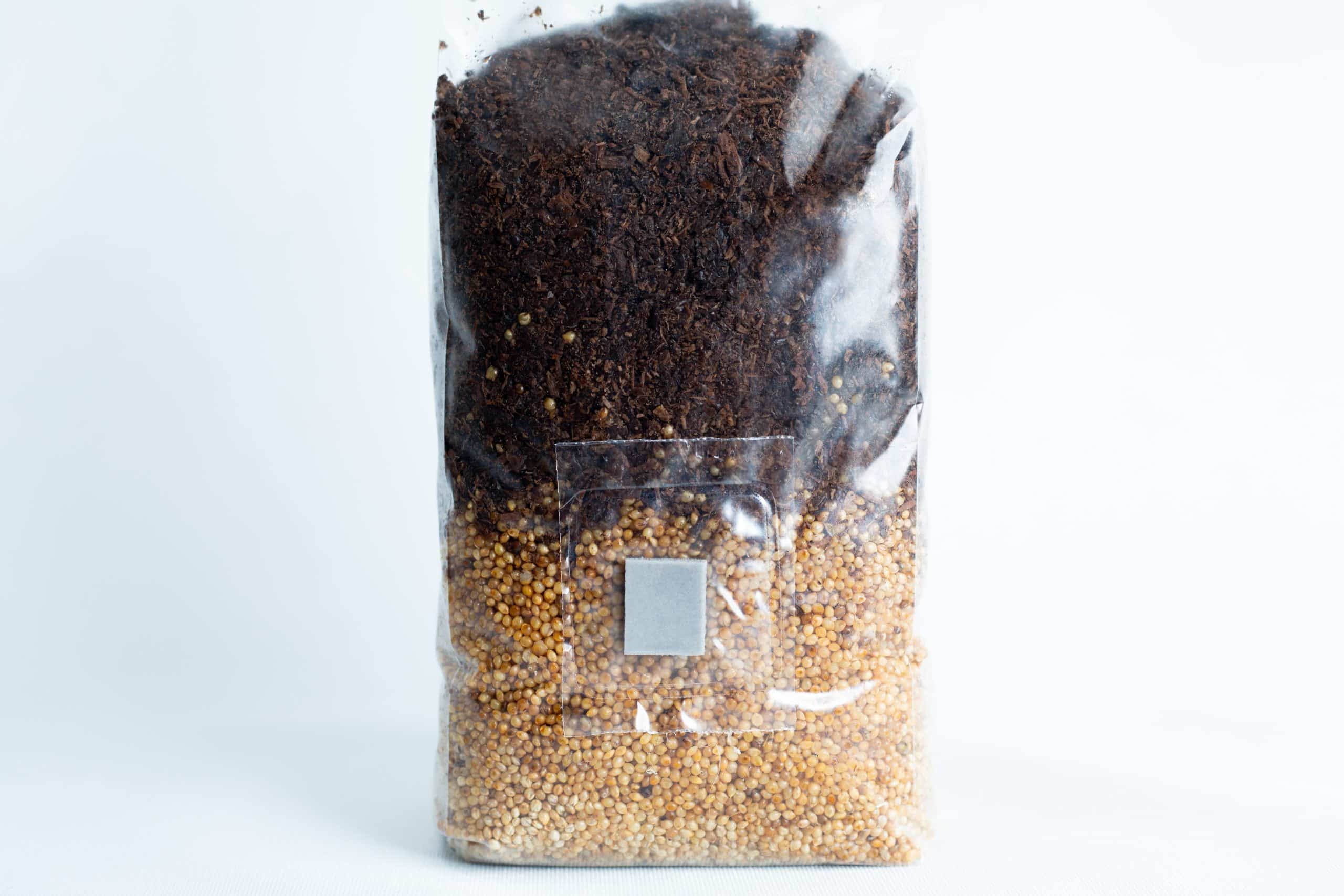 The Masters Mix + Millet All in One Mushroom 1kg Bag features dark nutrient-rich soil layered over light-coloured millet, perfect for optimal mushroom growth.