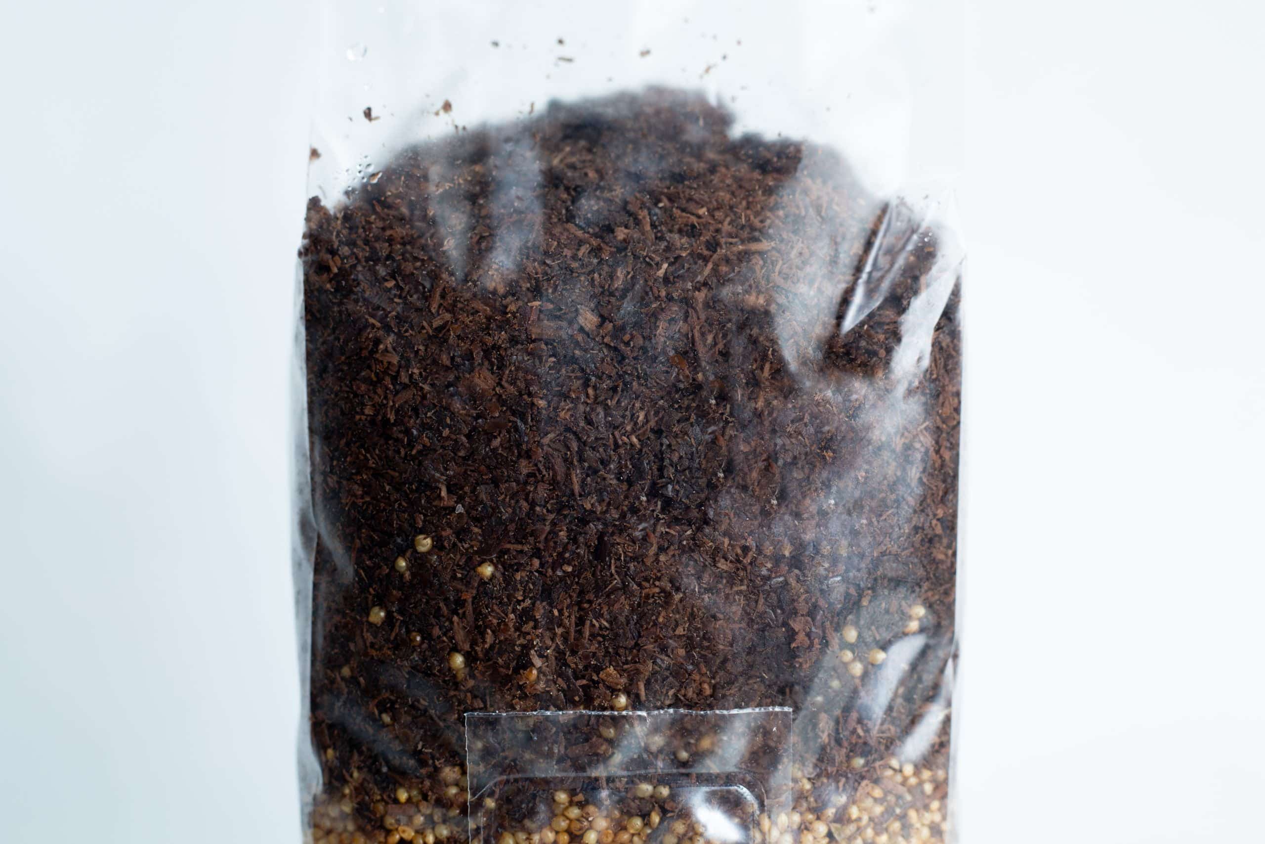 A clear plastic bag containing 1kg of dark brown Masters Mix + Millet All-in-One Mushroom substrate with visible small millet seeds at the bottom.