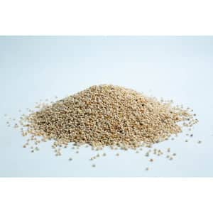 A small pile of raw amaranth seeds scattered on a white surface.