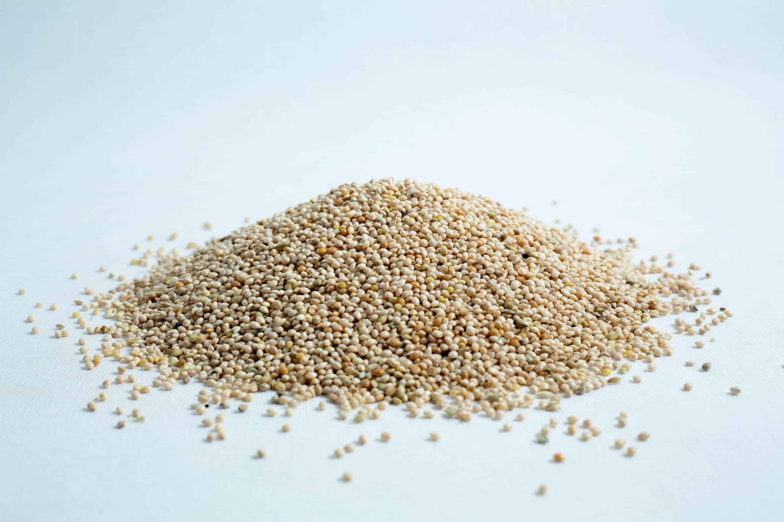 A small pile of raw amaranth seeds scattered on a white surface.