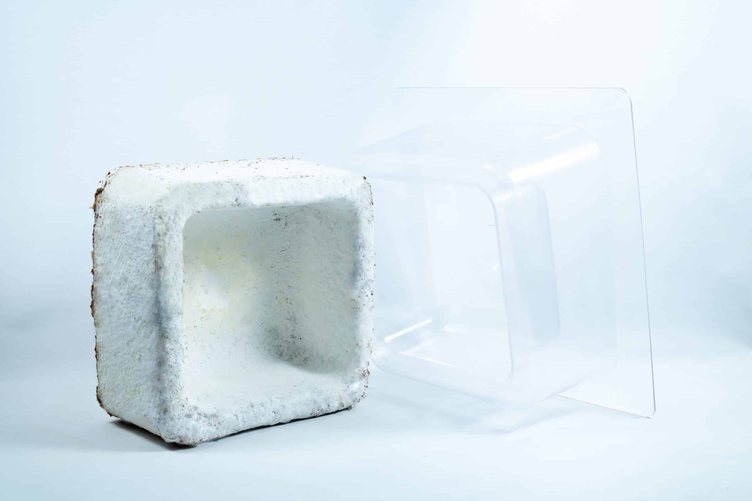 A white, square, hollow packaging block is next to a clear plastic mould on a white background, showcasing the Mycelium Mould Growth Form - Plant pot Heavy Duty (Reusable).