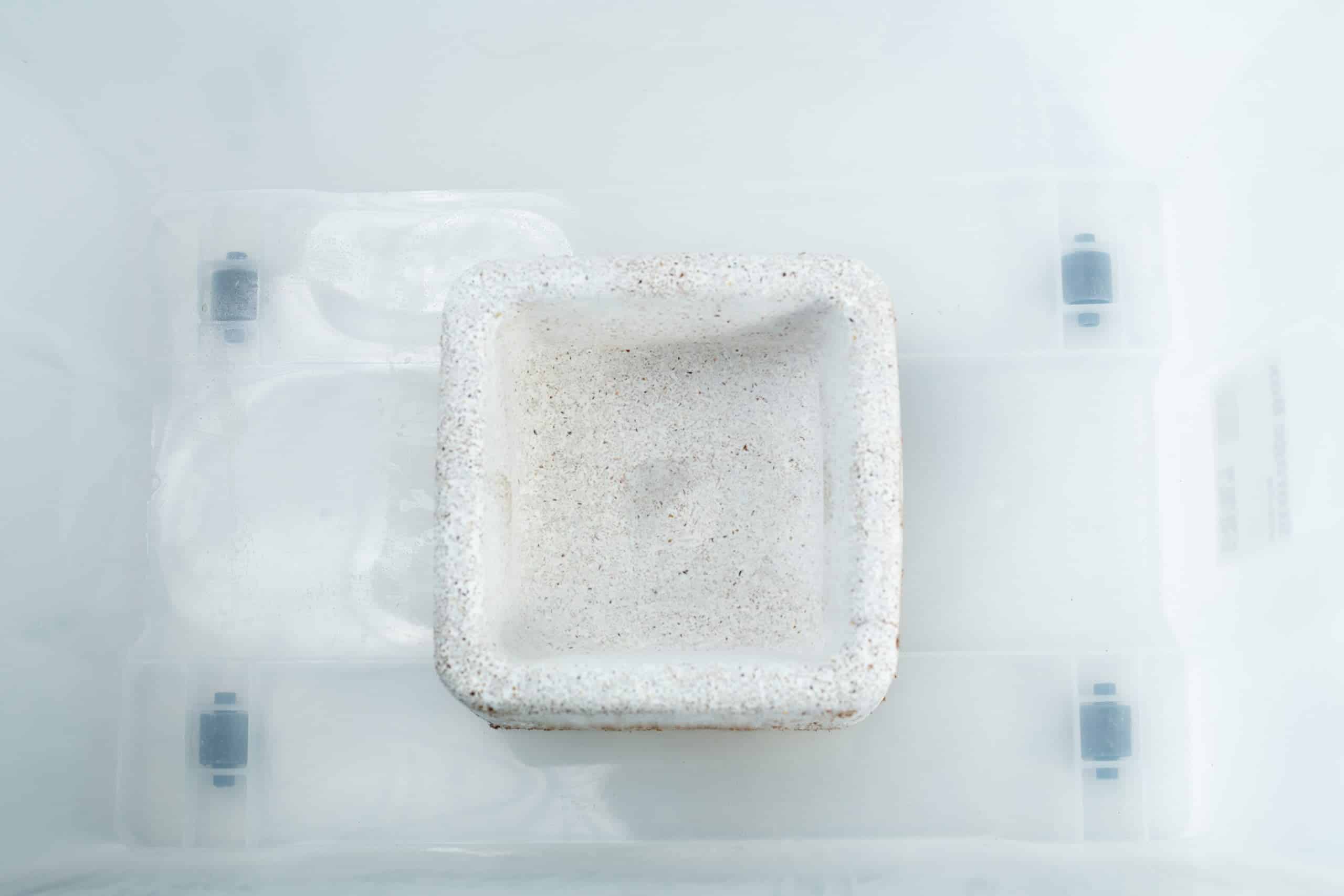 The Mycelium Mould Growth Form - Plant Pot Heavy Duty (Reusable) features a white, square ceramic dish inside a translucent plastic container, designed to resemble a plant pot mould growth form.