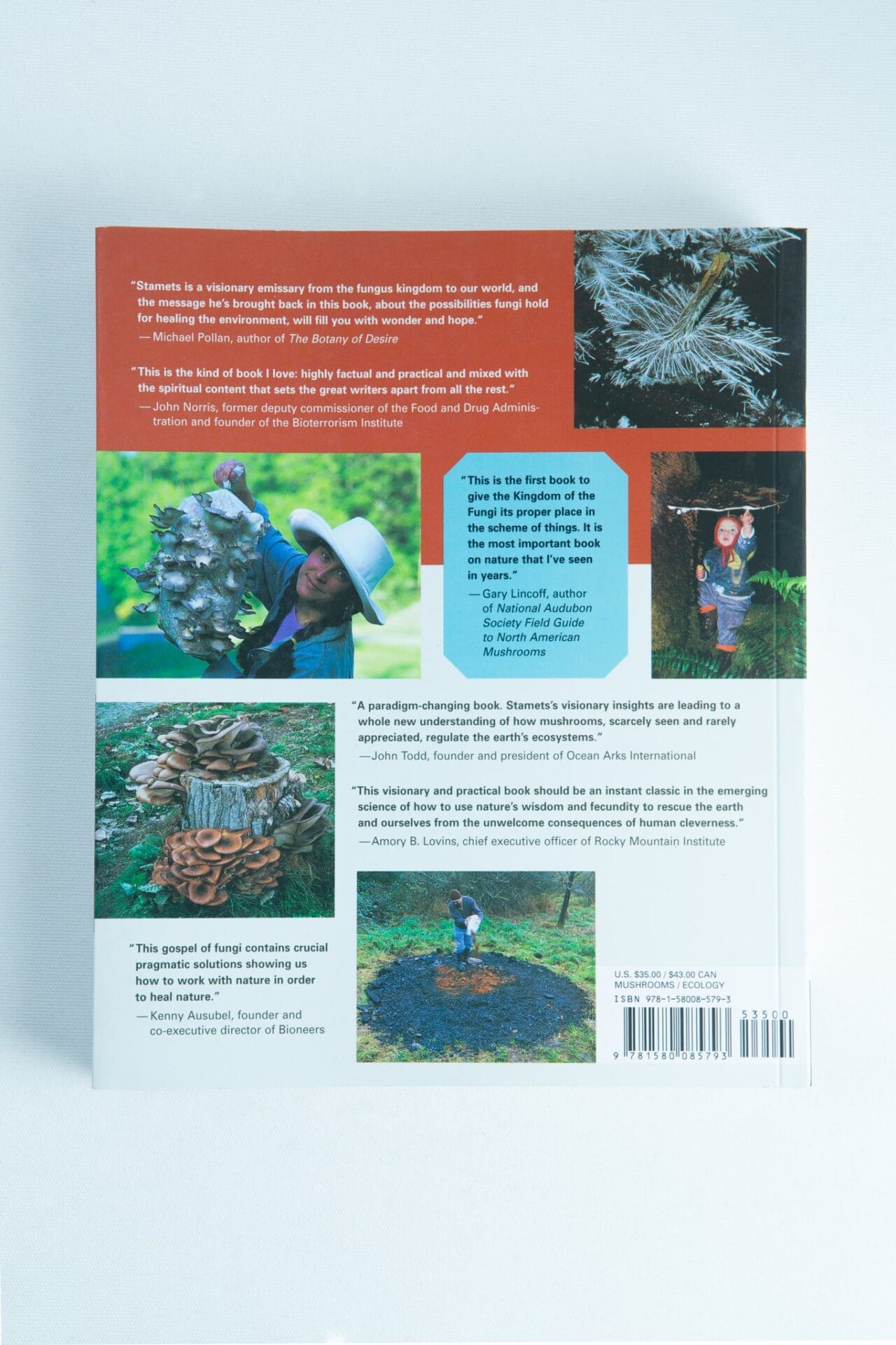 Back cover of Mycelium Running: How Mushrooms Can Help Save the World by Paul Stamets, with mushroom and foraging images plus review blurbs—ideal for mycology enthusiasts and admirers of Paul Stamets’ work.