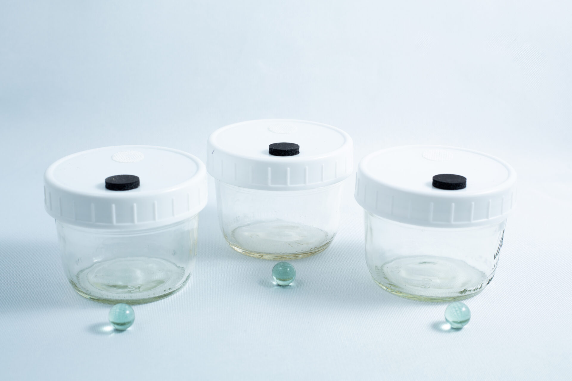 Three empty Mycology Ball Mason jars (1L, genuine, autoclavable) with injection port and air vent, each with a white lid and placed in front of a small green marble, arranged on a white background.