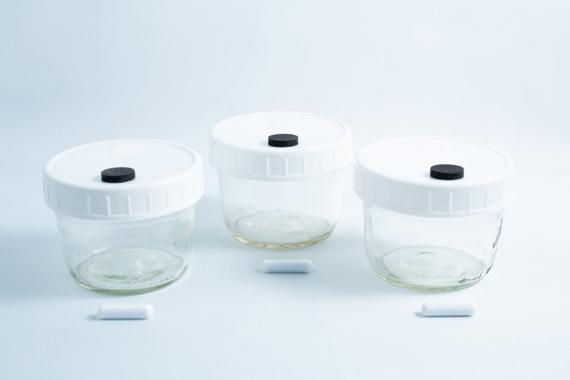 Three Mycology Ball mason jars 1L with injection port, air vent, and black knob lids are arranged in a row on a white surface—genuine autoclavable storage ideal for mycology.