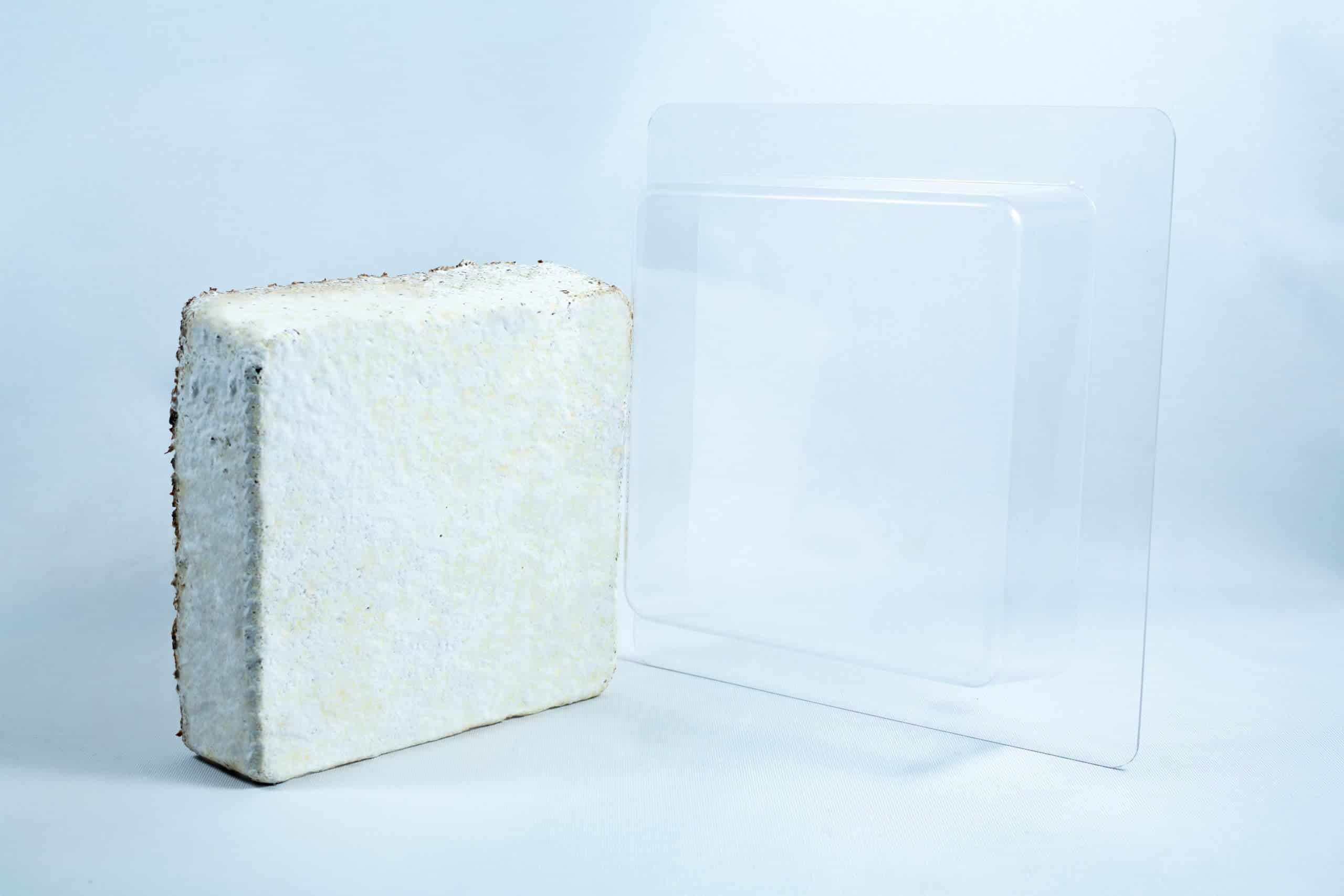 A square, white, textured Mycelium Mould Growth Form - Plant Pot Heavy Duty (Reusable) stands beside a clear plastic tray on a plain white background.
