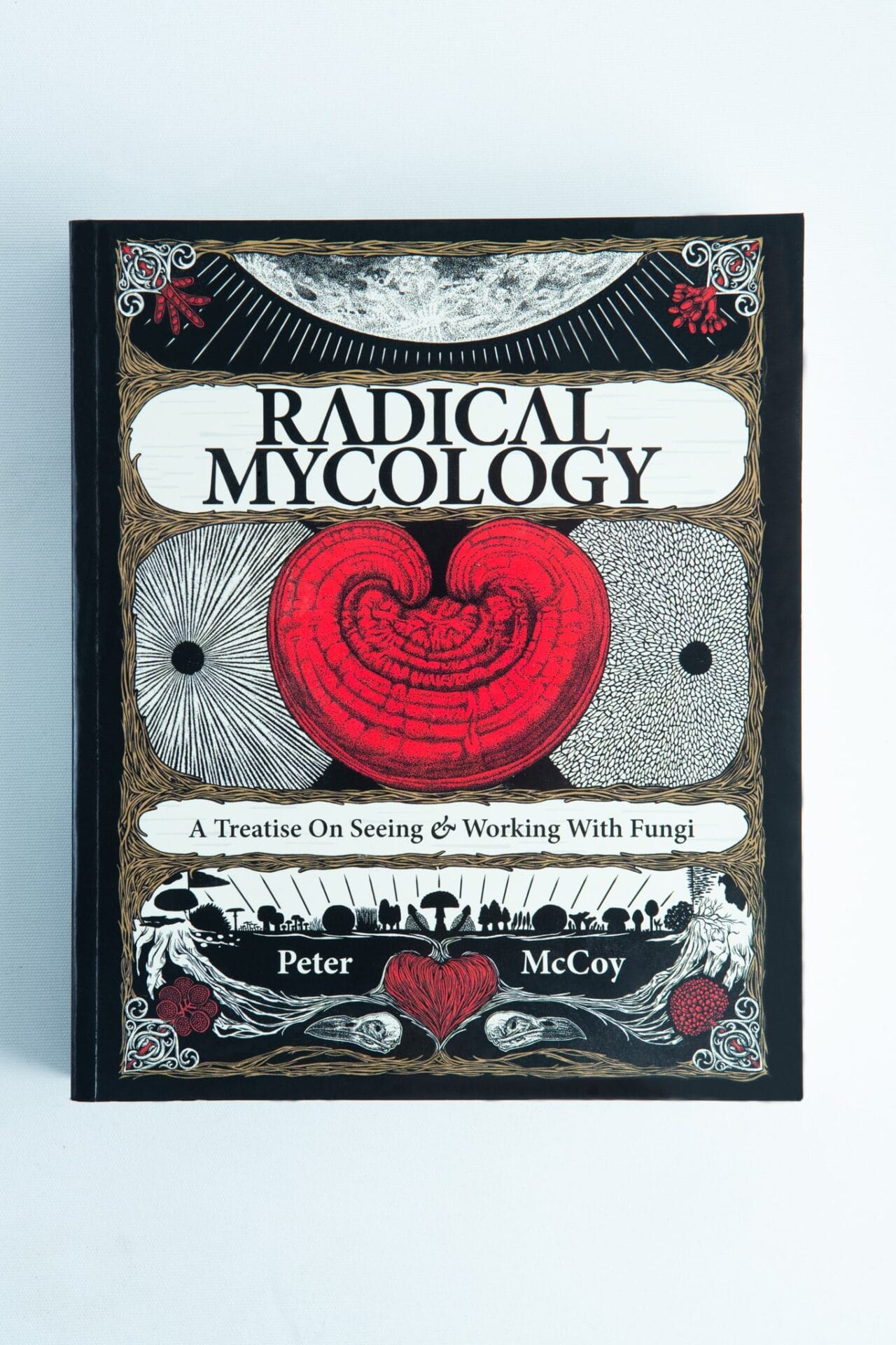 Book cover for Radical Mycology by Peter McCoy, featuring a bold red mushroom and unique black-and-white fungi artwork inspired by the radical mycology movement.