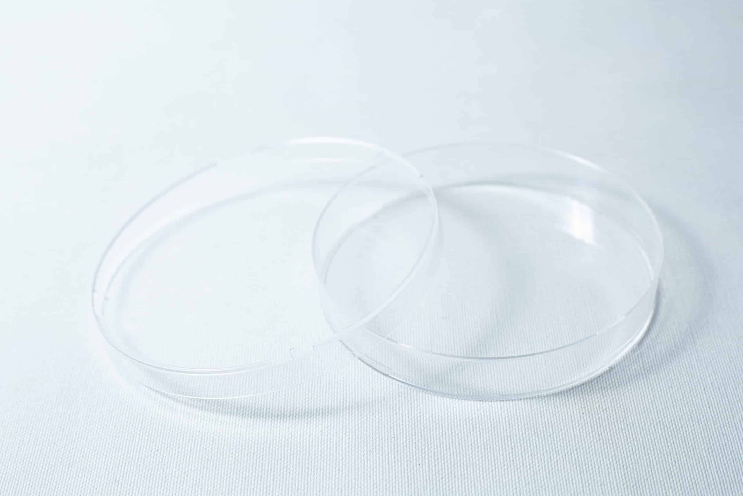 A sterile 90mm Petri dish with 3 vents and a slightly open lid, gamma irradiated, rests empty on a white surface.