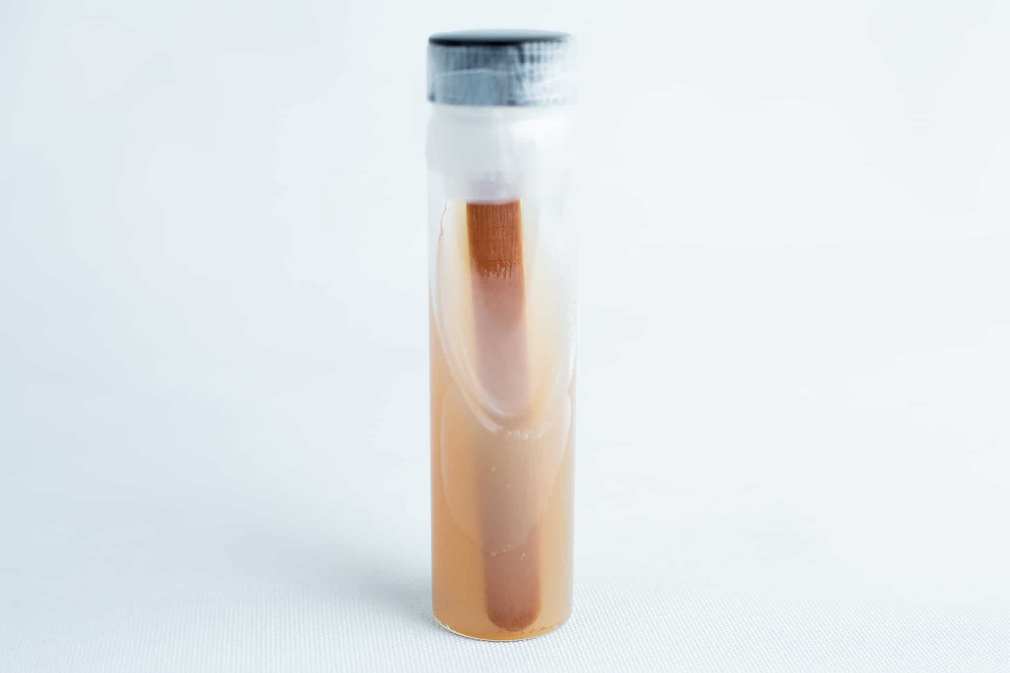 A sealed test tube containing a brown wooden stick and light brown liquid, resembling Slants—Replacement for agar petri dish, is displayed against a plain background.