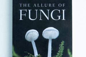 Book cover of The allure of Fungi: Book by Alison Pouliot, depicting two white mushrooms and green moss.
