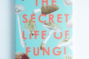 The book cover of The Secret Life of Fungi by Aliya Whiteley features delightful mushroom illustrations on a light blue background, making it a notable choice among mycology books.