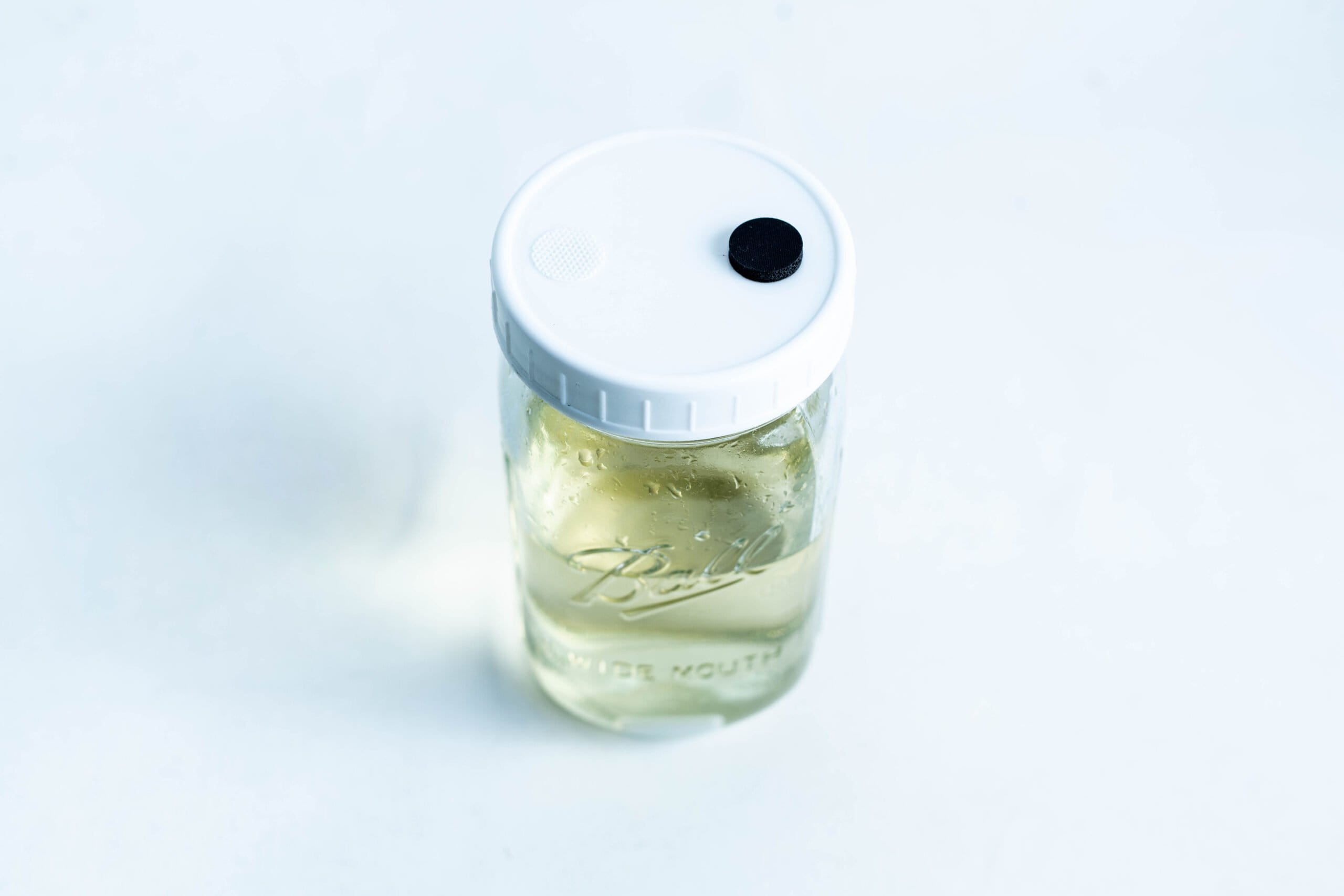 Uncolonised Liquid Culture Jar with nutrient and magnetic stirrer—features clear liquid inside a Kilner jar with white lid and black circle on top. Ideal for culturing; collection only.