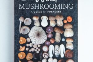 Explore Wild Mushrooming: A Guide for Foragers Book by Alison Pouliot and Tom May—ideal for nature lovers eager to start their foraging journey.