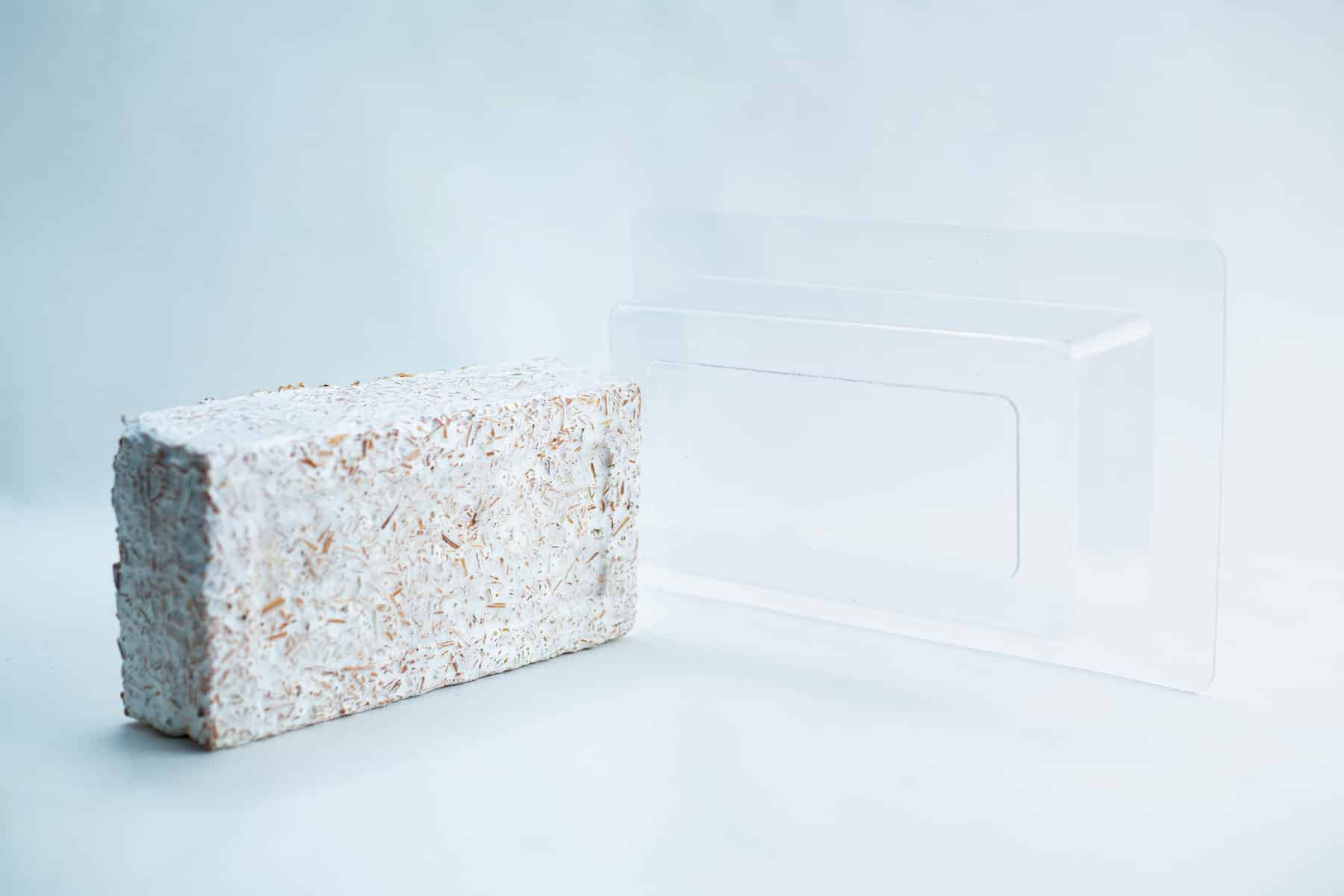 The Mycelium Mould Growth form - Paver (Reusable), a white rectangular brick, sits next to a clear plastic mould on a light background.