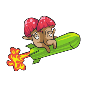 Two cartoon mushrooms with red caps ride a green rocket with flames, both smiling and waving. Discover more about us—Rootlab Australia, where creativity takes flight!.