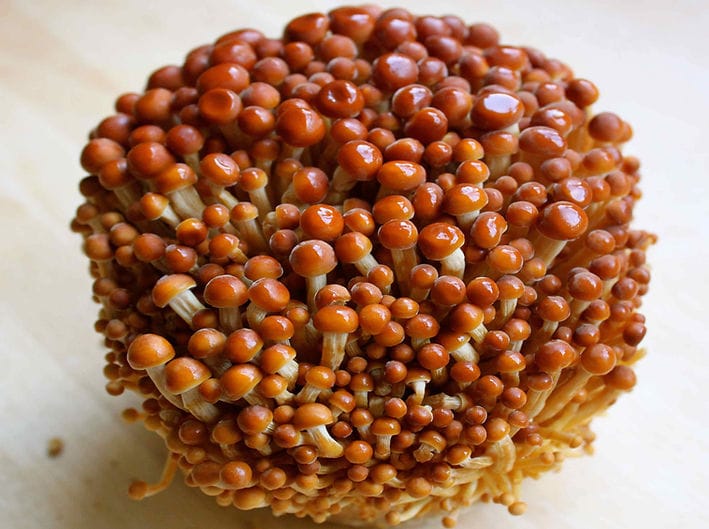 A cluster of brown-capped enoki mushrooms with long, slender stems on a light surface.