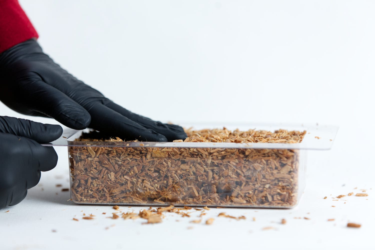 Gloved hands pressing wood chips into a clear rectangular container on a white surface.
