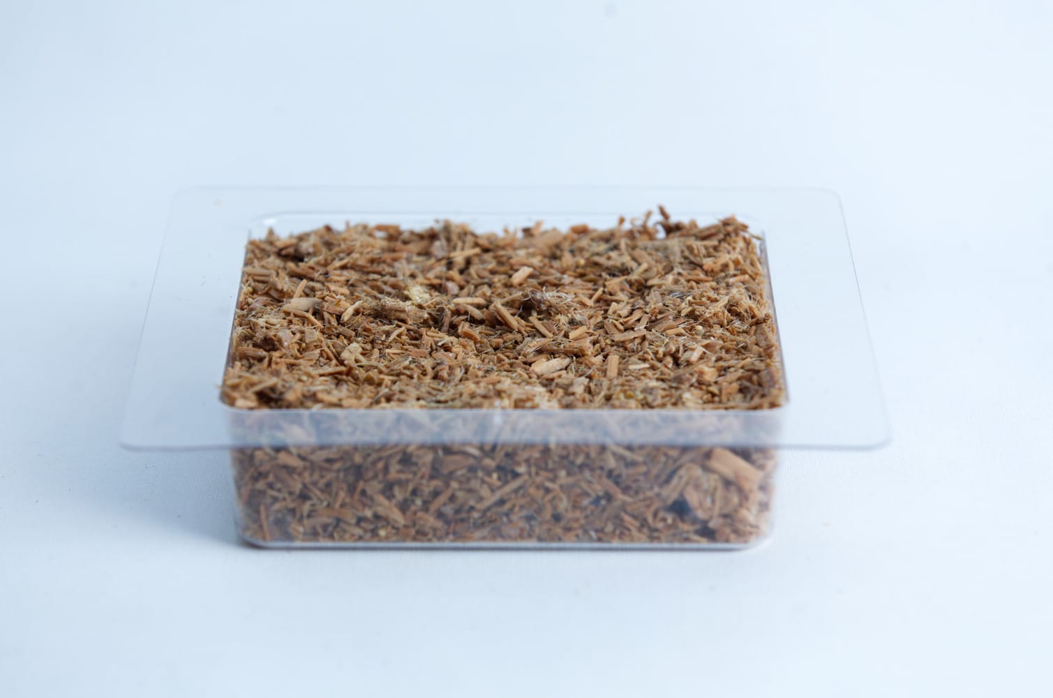 A clear plastic container filled with brown wood chips on a white background.