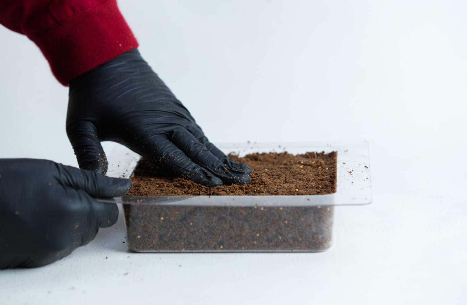 Hands in black gloves pressing soil in a plastic container against a white background.