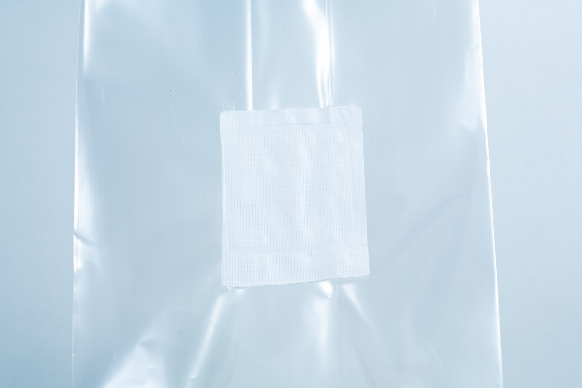 A small white adhesive plaster on a clear plastic surface, perfect for use with Millet pre-sterilised mushroom grains w/injection port and digital instructions.