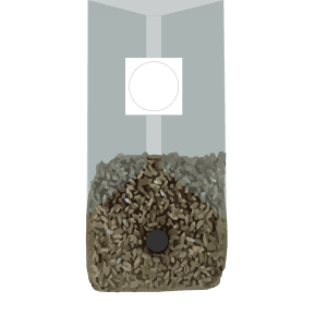 A transparent bag filled halfway with brown and tan sunflower seeds, with a circular white label.