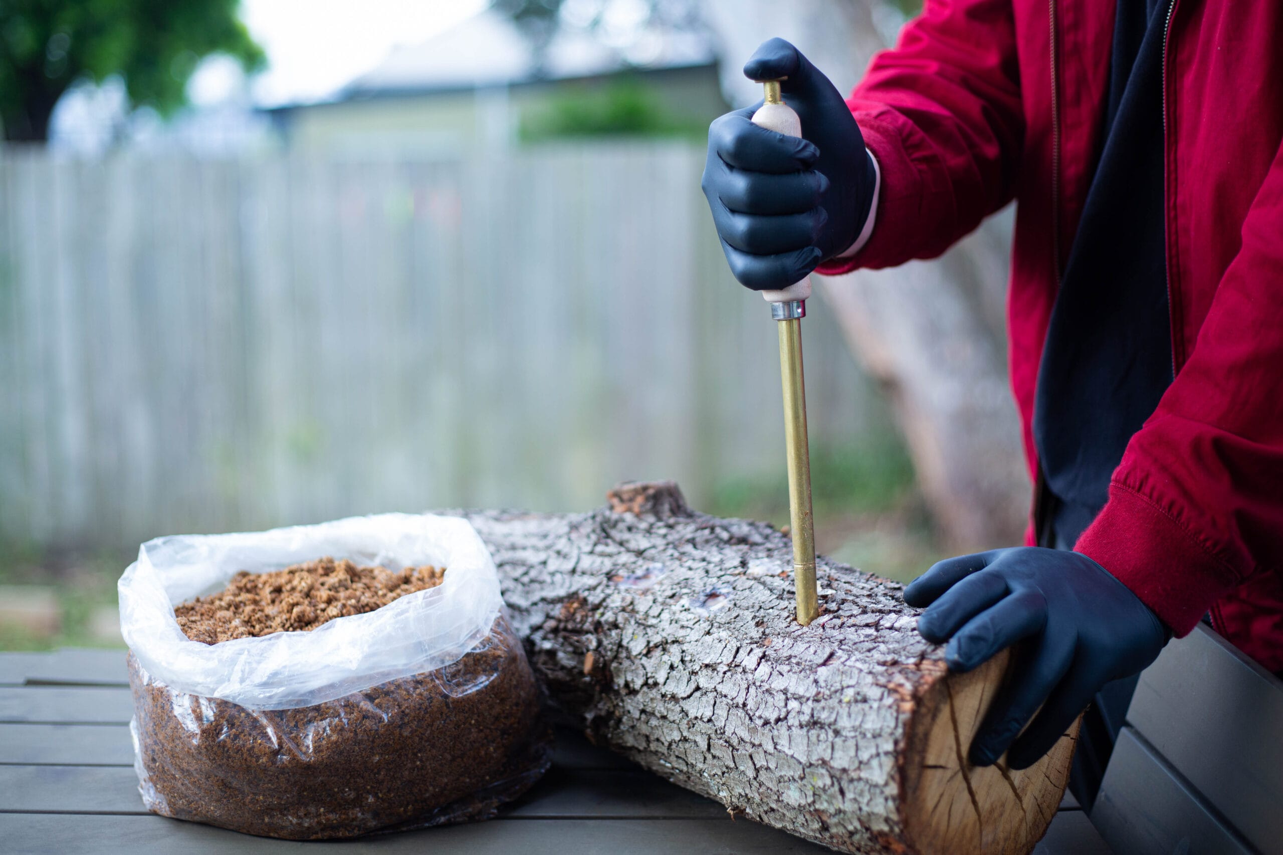 Person in black gloves inserts a tool into a log next to a bag of substrate on an outdoor table.
