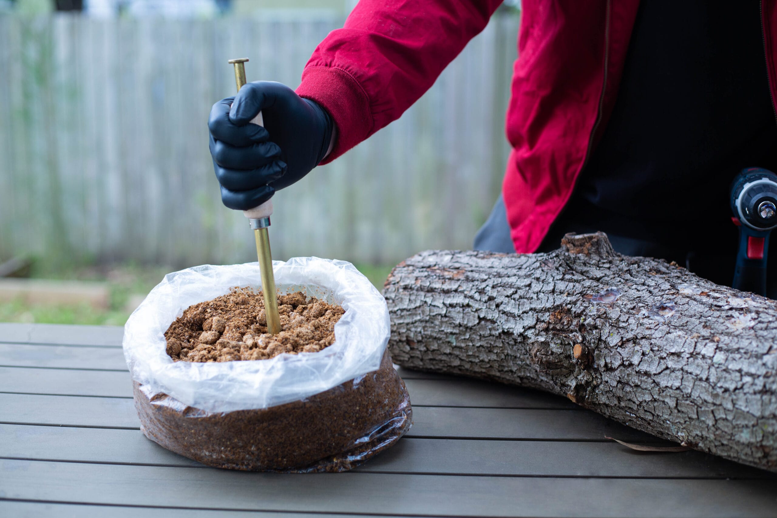 Person in gloves inserting a tool into a bag of substrate beside a tree log on a table outdoors.