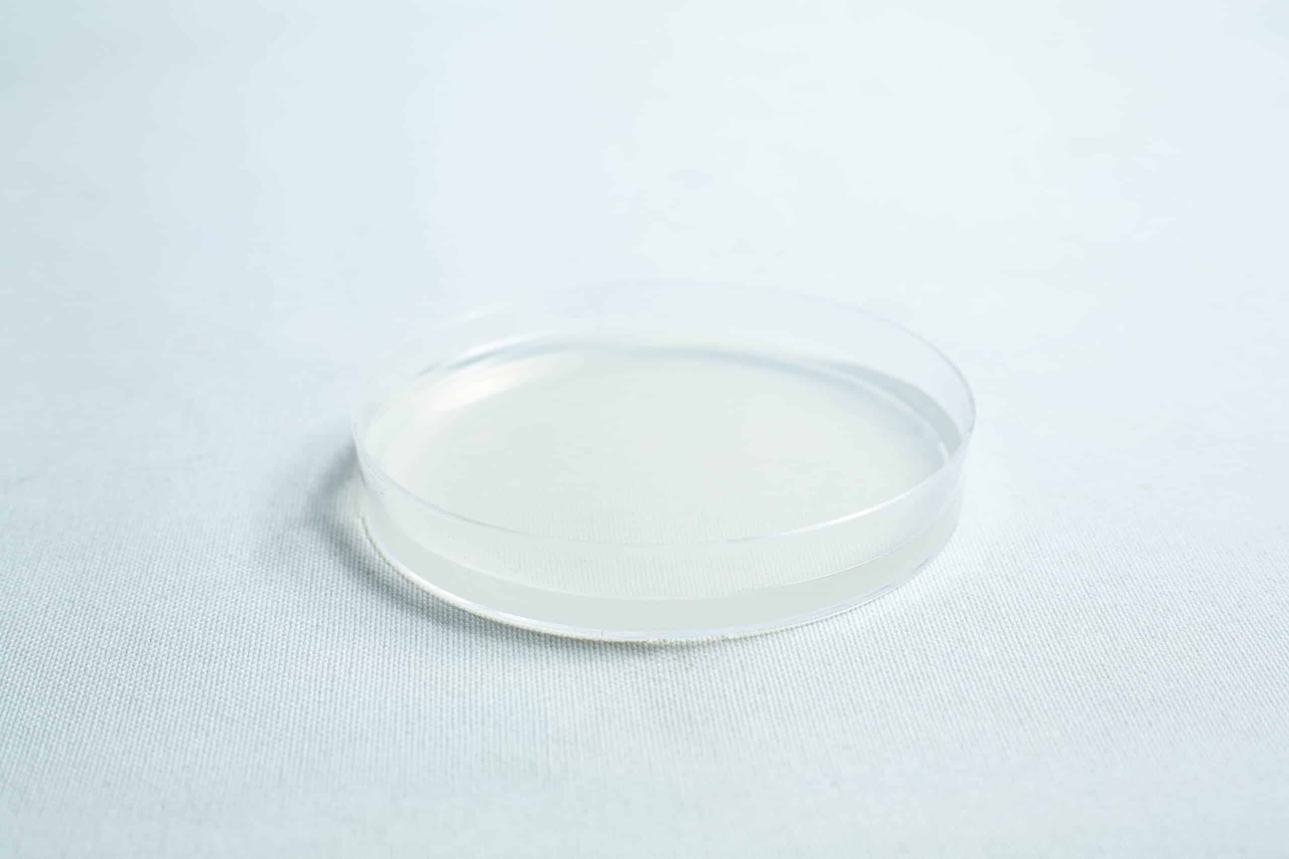 A clear, empty petri dish sits on a white surface under bright lighting.