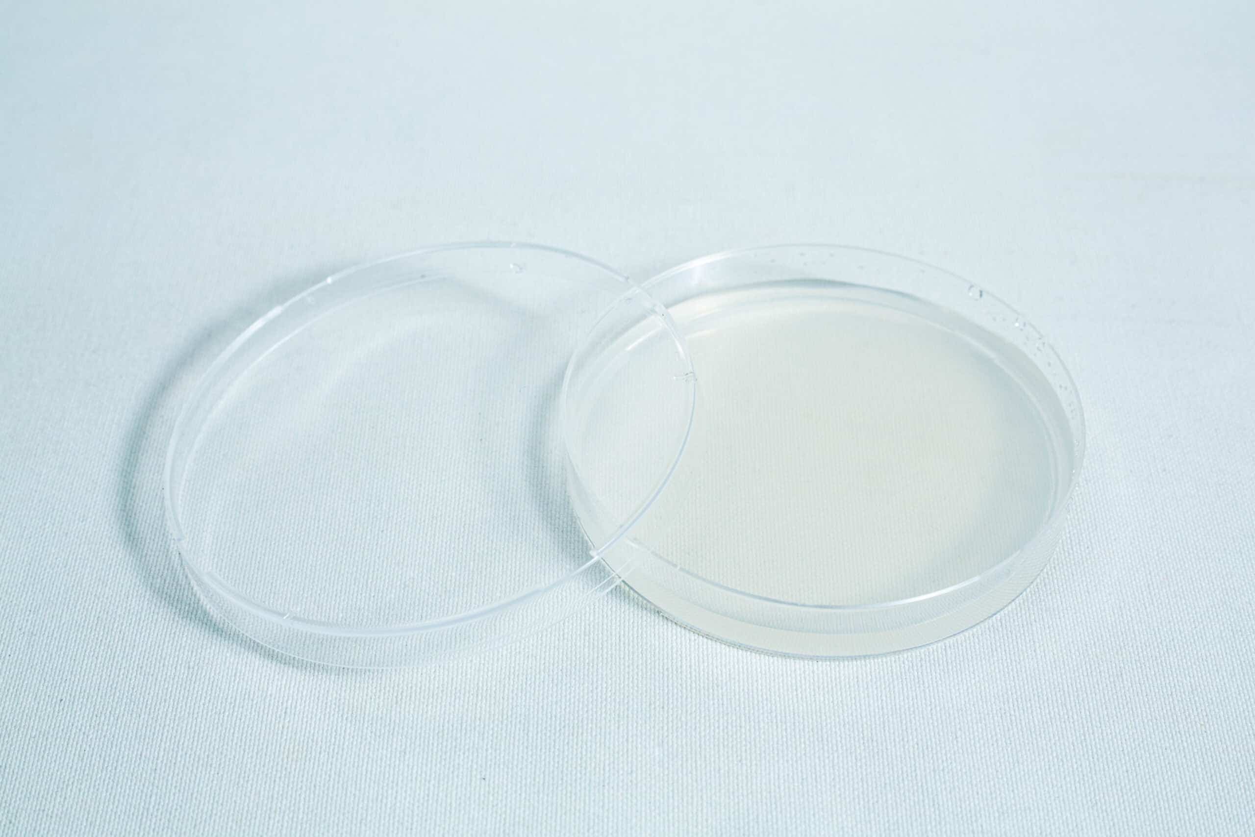 An empty, clear petri dish with its lid slightly open on a plain white background.