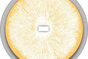 Colonized Agar Plates
